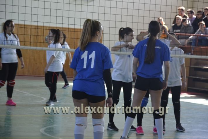 volley_1o-alexandreias-melikis2018 (71)